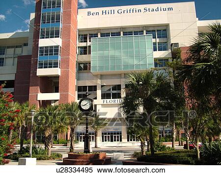 Gainesville, FL, Florida, UF, University of Florida, Florida Field, Ben Hill Griffin Stadium View Large Photo Image Stock Photography -  Gainesville, FL, Florida, UF, University of Florida, Florida Field, Ben Hill Griffin Stadium. Fotosearch
