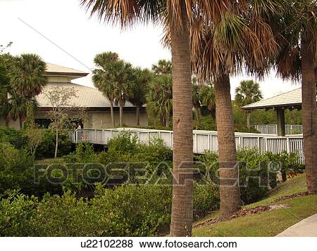 Hollywood, FL, Florida, Anne Kolb Nature Center, West Lake Park View Large Photo Image Stock Photo - Hollywood, FL, Florida, Anne Kolb Nature Center, West Lake Park. Fotosearch
