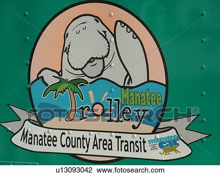 Holmes Beach, FL, Florida, Anna Maria Key, Manatee Trolley Bus, Manatee County Area Transit, logo View Large Photo Image Stock Image - Holmes Beach, FL, Florida, Anna Maria Key, Manatee Trolley Bus, Manatee County Area Transit, logo. Fotosearch