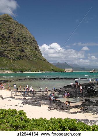 Honolulu, Oahu, HI, Hawaii, Windward O'ahu, Makapuu Beach Park, Kalanianaole Highway, scenic coastline, swimming View Large Photo Image Picture - Honolulu, Oahu, HI, Hawaii, Windward O'ahu, Makapuu Beach Park, Kalanianaole Highway, scenic coastline, swimming. Fotosearch