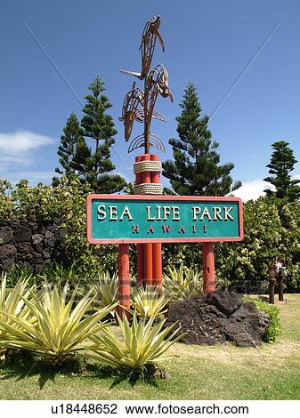 Honolulu, Oahu, HI, Hawaii, Windward O'ahu, Waimanalo Beach, Kalanianaole Highway, Sea Life Park, entrance sign View Large Photo Image Stock Image - Honolulu, Oahu, HI, Hawaii, Windward O'ahu, Waimanalo Beach, Kalanianaole Highway, Sea Life Park, entrance sign. Fotosearch