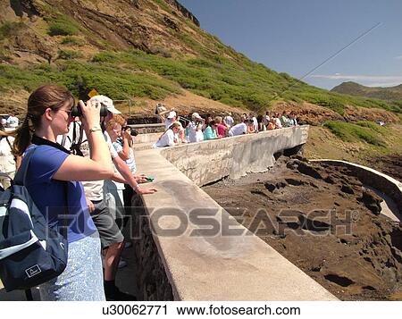 Honolulu, Oahu, HI, Hawaii, Windward O'ahu, Koko Head Regional Park, Sandy Beach Park, Kalanianaole Highway, overlook View Large Photo Image Stock Image - Honolulu, Oahu, HI, Hawaii, Windward O'ahu, Koko Head Regional Park, Sandy Beach Park, Kalanianaole Highway, overlook. Fotosearch