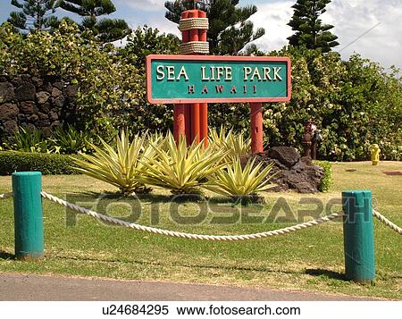 Honolulu, Oahu, HI, Hawaii, Windward O'ahu, Waimanalo Beach, Kalanianaole Highway, Sea Life Park, entrance sign View Large Photo Image Stock Photography - Honolulu, Oahu, HI, Hawaii, Windward O'ahu, Waimanalo Beach, Kalanianaole Highway, Sea Life Park, entrance sign. Fotosearch