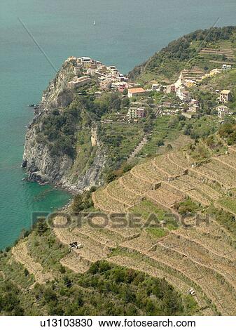 Italy, Cinque Terre, Corniglia, Liguria, Riviera di Levante, Ligurian Riviera, Europe, Scenic view of Corniglia, a Cinque Terre village, and the vineyards on the steep slopes of the Ligurian Sea. View Large Photo Image Stock Image - Italy, Cinque Terre, Corniglia, Liguria, Riviera di Levante, Ligurian Riviera, Europe, Scenic view of Corniglia, a Cinque Terre village, and the vineyards on the steep slopes of the Ligurian Sea.. Fotosearch