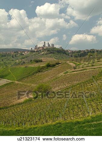 Italy, San Gimignano, Tuscany, Toscana, Europe, Scenic view of the medieval town of San Gimignano and the vineyards of the Chianti Region. View Large Photo Image Picture - Italy, San Gimignano, Tuscany, Toscana, Europe, Scenic view of the medieval town of San Gimignano and the vineyards of the Chianti Region.. Fotosearch