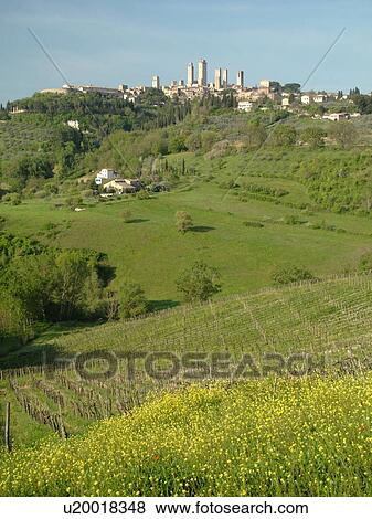 Italy, San Gimignano, Tuscany, Toscana, Europe, Scenic view of the medieval town of San Gimignano in the Chianti Region. View Large Photo Image Stock Photo - Italy, San Gimignano, Tuscany, Toscana, Europe, Scenic view of the medieval town of San Gimignano in the Chianti Region.. Fotosearch