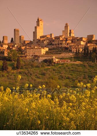 Italy, San Gimignano, Tuscany, Toscana, Europe, Scenic view of the medieval town of San Gimignano in the Chianti Region. View Large Photo Image Stock Photography - Italy, San Gimignano, Tuscany, Toscana, Europe, Scenic view of the medieval town of San Gimignano in the Chianti Region.. Fotosearch