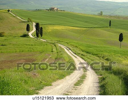 Stock Image -  Italy, Tuscany, Pienza, Toscana, Europe, Long dirt driveway leads to a Tuscan home in the countryside of Tuscany in Pienza.. Fotosearch