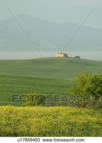 Italy, Tuscany, Pienza, Toscana, Europe, Scenic view of a Tuscan home and the countryside of Tuscany in the fog in Pienza. View Large Photo Image Stock Image - Italy, Tuscany, Pienza, Toscana, Europe, Scenic view of a Tuscan home and the countryside of Tuscany in the fog in Pienza.. Fotosearch