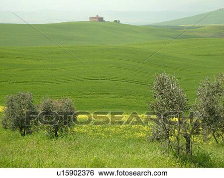 Italy, Tuscany, Pienza, Toscana, Europe, Scenic view of a Tuscan home and the countryside of Tuscany in Pienza. View Large Photo Image Stock Photograph - Italy, Tuscany, Pienza, Toscana, Europe, Scenic view of a Tuscan home and the countryside of Tuscany in Pienza.. Fotosearch