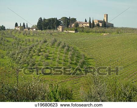 Stock Image -  Italy, Tuscany, San Gimignano, Toscana, Europe, Scenic view of a Tuscan farmhouse in the countryside of San Gimignano in Tuscany.. Fotosearch