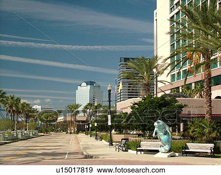 Jacksonville, FL, Florida, Buildings along Coast Line Drive, St. Johns River, Deep Blue Sea Cow Manatee fiberglass statue, The Manatees of Jacksonville View Large Photo Image Stock Photo - Jacksonville, FL, Florida, Buildings along Coast Line Drive, St. Johns River, Deep Blue Sea Cow Manatee fiberglass statue, The Manatees of Jacksonville. Fotosearch