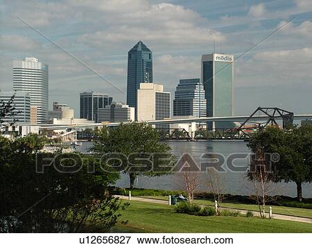 Jacksonville, FL, Florida, downtown skyline, from Riverside on the St. Johns River View Large Photo Image Stock Photo - Jacksonville, FL, Florida, downtown skyline, from Riverside on the St. Johns River. Fotosearch