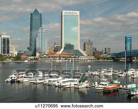 Jacksonville, FL, Florida, downtown skyline, Jacksonville Landing, boats docked at marina on the St. Johns River in South Jacksonville View Large Photo Image Stock Photography - Jacksonville, FL, Florida, downtown skyline, Jacksonville Landing, boats docked at marina on the St. Johns River in South Jacksonville. Fotosearch