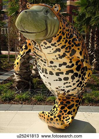 Jacksonville, FL, Florida, Fanatee Manatee fiberglass statue outside Jacksonville Veterans Memorial Arena, The Manatees of Jacksonville View Large Photo Image Stock Image - Jacksonville, FL, Florida, Fanatee Manatee fiberglass statue outside Jacksonville Veterans Memorial Arena, The Manatees of Jacksonville. Fotosearch