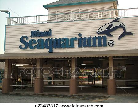 Key Biscayne, Miami, FL, Virginia Key, Florida, Miami Seaquarium View Large Photo Image Stock Photo - Key Biscayne, Miami, FL, Virginia Key, Florida, Miami Seaquarium. Fotosearch