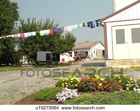 Picture -  Lancaster County, PA, Pennsylvania, Amish, farm, clothes drying on clothesline. Fotosearch