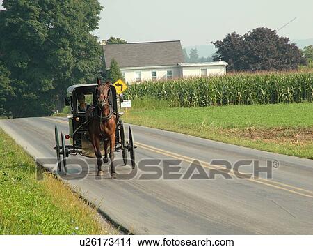 Lancaster County, PA, Pennsylvania, Amish, horse and buggy View Large Photo Image Picture - Lancaster County, PA, Pennsylvania, Amish, horse and buggy. Fotosearch