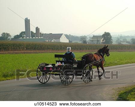 Lancaster County, PA, Pennsylvania, Amish, horse and buggy View Large Photo Image Stock Image - Lancaster County, PA, Pennsylvania, Amish, horse and buggy. Fotosearch