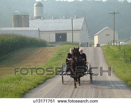 Lancaster County, PA, Pennsylvania, Amish, horse and buggy View Large Photo Image Stock Image - Lancaster County, PA, Pennsylvania, Amish, horse and buggy. Fotosearch