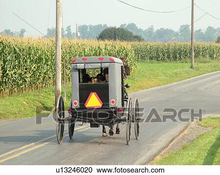 Lancaster County, PA, Pennsylvania, Amish, horse and buggy View Large Photo Image Stock Image - Lancaster County, PA, Pennsylvania, Amish, horse and buggy. Fotosearch