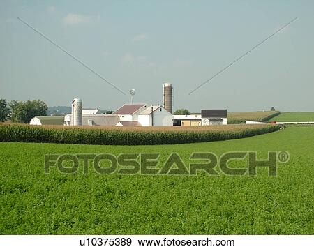 Stock Photo -  Lancaster County, PA, Pennsylvania, Amish, farm. Fotosearch