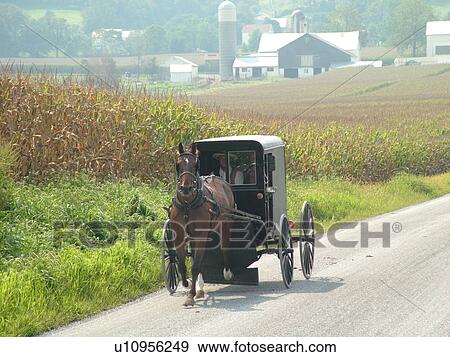 Lancaster County, PA, Pennsylvania, Amish, horse and buggy View Large Photo Image Stock Photo - Lancaster County, PA, Pennsylvania, Amish, horse and buggy. Fotosearch