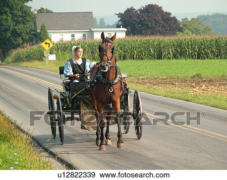 Lancaster County, PA, Pennsylvania, Amish, horse and buggy View Large Photo Image Stock Photo - Lancaster County, PA, Pennsylvania, Amish, horse and buggy. Fotosearch