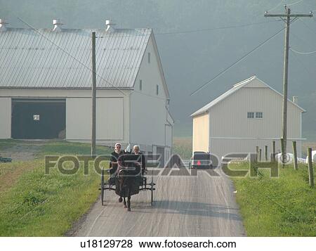 Lancaster County, PA, Pennsylvania, Amish, horse and buggy View Large Photo Image Stock Photo - Lancaster County, PA, Pennsylvania, Amish, horse and buggy. Fotosearch