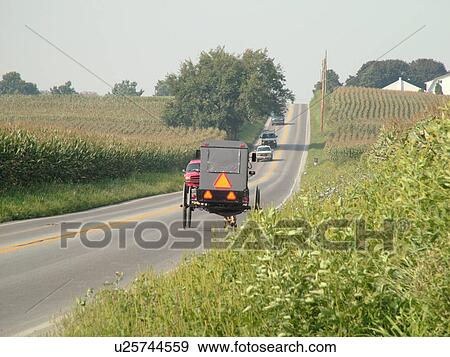 Lancaster County, PA, Pennsylvania, Amish, horse and buggy View Large Photo Image Stock Photo - Lancaster County, PA, Pennsylvania, Amish, horse and buggy. Fotosearch