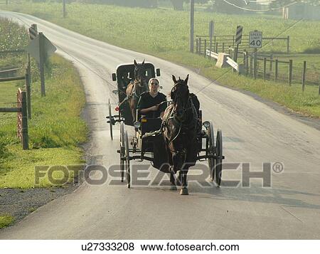 Lancaster County, PA, Pennsylvania, Amish, horse and buggy View Large Photo Image Stock Photo - Lancaster County, PA, Pennsylvania, Amish, horse and buggy. Fotosearch