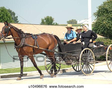 Lancaster County, PA, Pennsylvania, Amish, family in open buggy pulled by horse View Large Photo Image Stock Photograph - Lancaster County, PA, Pennsylvania, Amish, family in open buggy pulled by horse. Fotosearch