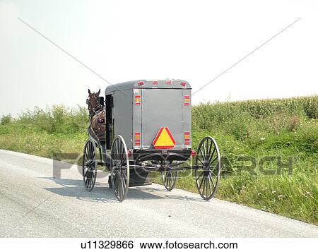 Lancaster County, PA, Pennsylvania, Amish, horse and buggy View Large Photo Image Stock Photograph - Lancaster County, PA, Pennsylvania, Amish, horse and buggy. Fotosearch