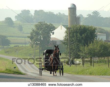 Lancaster County, PA, Pennsylvania, Amish, horse and buggy View Large Photo Image Stock Photography - Lancaster County, PA, Pennsylvania, Amish, horse and buggy. Fotosearch
