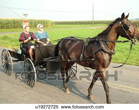 Lancaster County, PA, Pennsylvania, Amish, horse and buggy View Large Photo Image Stock Photography - Lancaster County, PA, Pennsylvania, Amish, horse and buggy. Fotosearch