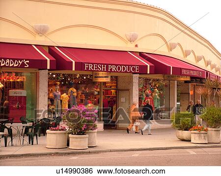 Lido Key, Sarasota, FL, Florida, City Island, St. Armands Circle, shopping district View Large Photo Image Stock Photograph -  Lido Key, Sarasota, FL, Florida, City Island, St. Armands Circle, shopping district. Fotosearch