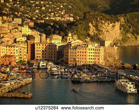 Liguria, Italy, Camogli, Riviera di Levante, Ligurian Riviera, Europe, Scenic view of the fishing port in the resort town of Camogli along the Ligurian Sea. View Large Photo Image Picture - Liguria, Italy, Camogli, Riviera di Levante, Ligurian Riviera, Europe, Scenic view of the fishing port in the resort town of Camogli along the Ligurian Sea.. Fotosearch