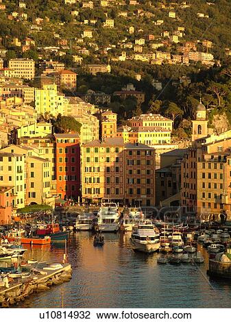 Liguria, Italy, Camogli, Riviera di Levante, Ligurian Riviera, Europe, Scenic view of the fishing port in the resort town of Camogli along the Ligurian Sea. View Large Photo Image Stock Image - Liguria, Italy, Camogli, Riviera di Levante, Ligurian Riviera, Europe, Scenic view of the fishing port in the resort town of Camogli along the Ligurian Sea.. Fotosearch