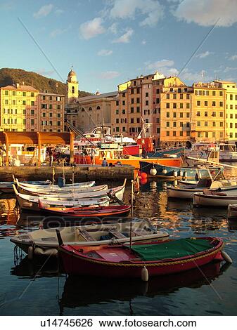 Liguria, Italy, Camogli, Riviera di Levante, Ligurian Riviera, Europe, Fishing boats moored in the fishing port in the resort town of Camogli along the Ligurian Sea. View Large Photo Image Stock Photograph - Liguria, Italy, Camogli, Riviera di Levante, Ligurian Riviera, Europe, Fishing boats moored in the fishing port in the resort town of Camogli along the Ligurian Sea.. Fotosearch