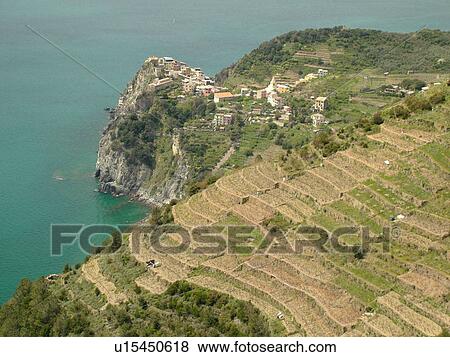 Liguria, Italy, Cinque Terre, Corniglia, Riviera di Levante, Ligurian Riviera, Europe, Scenic view of Corniglia, a Cinque Terre village, and the vineyards on the steep slopes of the Ligurian Sea. View Large Photo Image Stock Photo - Liguria, Italy, Cinque Terre, Corniglia, Riviera di Levante, Ligurian Riviera, Europe, Scenic view of Corniglia, a Cinque Terre village, and the vineyards on the steep slopes of the Ligurian Sea.. Fotosearch