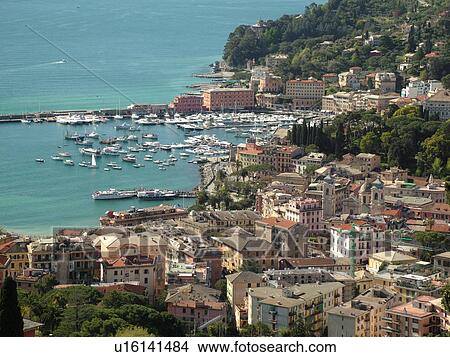 Picture -  Liguria, Italy, Santa Margherita Ligure, Riviera di Levante, Ligurian Riviera, Europe, Scenic view of the resort town of Santa Margherita Ligure along the Ligurian Sea.. Fotosearch