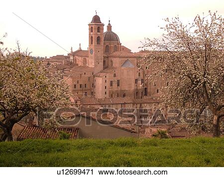 Marche, Italy, Urbino, Europe, Scenic view of the medieval hill town of Urbino. View Large Photo Image Stock Image - Marche, Italy, Urbino, Europe, Scenic view of the medieval hill town of Urbino.. Fotosearch