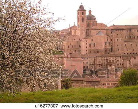 Marche, Italy, Urbino, Europe, Scenic view of the medieval hill town of Urbino. View Large Photo Image Stock Photo - Marche, Italy, Urbino, Europe, Scenic view of the medieval hill town of Urbino.. Fotosearch