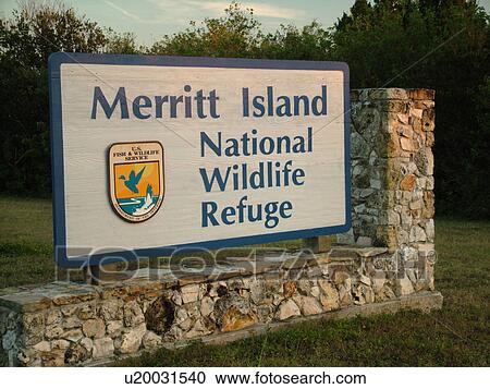 Merritt Island, Titusville, FL, Florida, Merritt Island National Wildlife Refuge, Cape Canaveral View Large Photo Image Stock Image - Merritt Island, Titusville, FL, Florida, Merritt Island National Wildlife Refuge, Cape Canaveral. Fotosearch