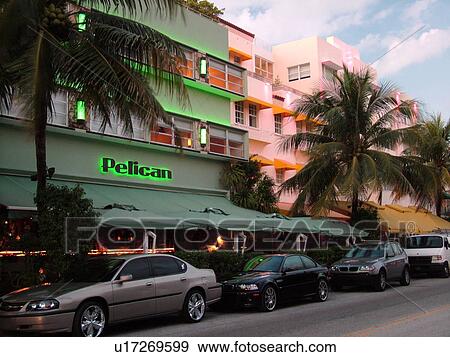 Miami Beach, South Beach, FL, Florida, Ocean Drive, American Riviera, Art Deco District, Pelican, evening View Large Photo Image Stock Photo - Miami Beach, South Beach, FL, Florida, Ocean Drive, American Riviera, Art Deco District, Pelican, evening. Fotosearch