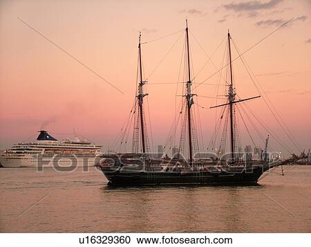 Miami, FL, Florida, Biscayne Bay from Bayfront Park, tall ship, sailboat, cruise ship View Large Photo Image Stock Image - Miami, FL, Florida, Biscayne Bay from Bayfront Park, tall ship, sailboat, cruise ship. Fotosearch