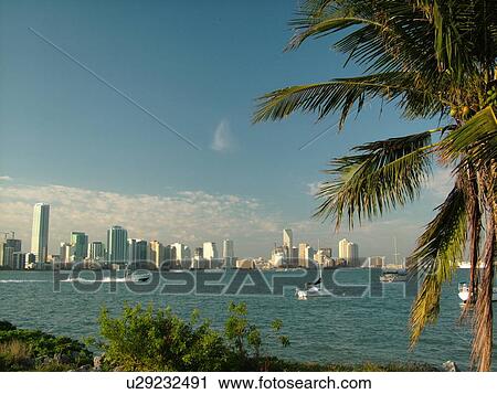 Miami, FL, Florida, Biscayne Bay, skyline from Rickenbacker Causeway View Large Photo Image Stock Image - Miami, FL, Florida, Biscayne Bay, skyline from Rickenbacker Causeway . Fotosearch