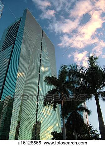Miami, FL, Florida, downtown, Financial District, Brickell Avenue, high-rises, skyline View Large Photo Image Stock Photography - Miami, FL, Florida, downtown, Financial District, Brickell Avenue, high-rises, skyline. Fotosearch