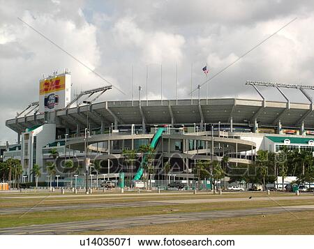Miami, FL, Florida, Pro Player Stadium, Miami Dolphins, football View Large Photo Image Stock Image - Miami, FL, Florida, Pro Player Stadium, Miami Dolphins, football. Fotosearch