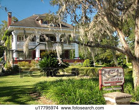 Micanopy, FL, Florida, Herlong Mansion Bed and Breakfast View Large Photo Image Picture - Micanopy, FL, Florida, Herlong Mansion Bed and Breakfast. Fotosearch